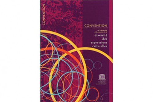 Promotion of the Convention in international forum