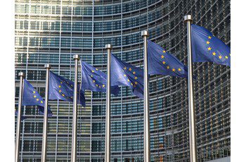 The European coalitions wrote to the candidates to the Commission Presidency